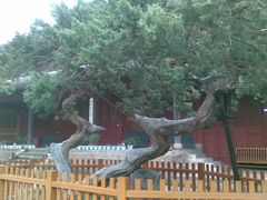 -普陀山风景名胜区-法雨禅寺