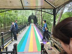 -合肥滨湖国家森林公园