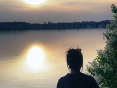 -丁香湖公园