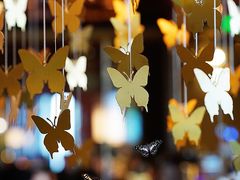 -蝴蝶里·粤菜·点心(龙湖天街&滨江店)