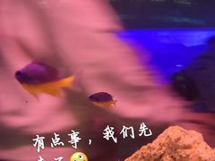 -北京海洋馆