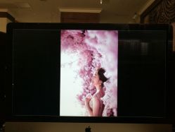 -米兰尊荣婚纱摄影·婚纱照会馆