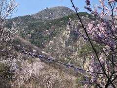 -北京鹫峰国家森林公园