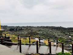 -涉地可支