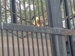 -广东茂名森林公园