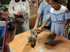 -藦茜花园宠物主题亲子互动体验馆(国顺东路店)
