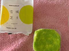 -蒲公英(五里店)