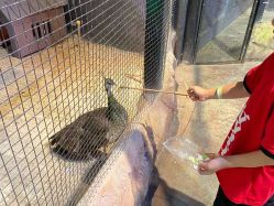 -酷嗒动物文化乐园(cutezoo西溪乐天城店)