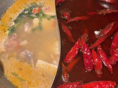 -麻田会 ·鲜活现烹·牛蛙火锅(珠江新城维家思广场店)