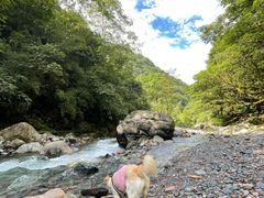 -西岭雪山大飞水景区