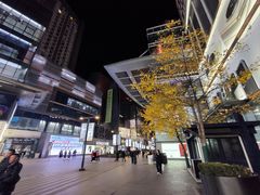 -大悦城(沈阳中街店)