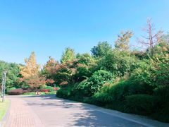 -杭州城北体育公园