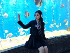 -合肥海洋世界