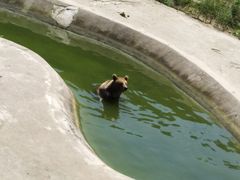 -哈尔滨北方森林动物园
