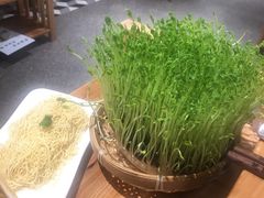 -广顺鑫猪肚鸡(经八路店)