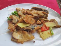 煎焗鱼头-绿雅居原生态农庄(小涌店)