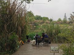 -桤木河湿地公园