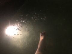 -广州从化都喜泰丽度假温泉酒店