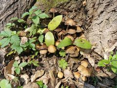 -玉渡山自然风景区