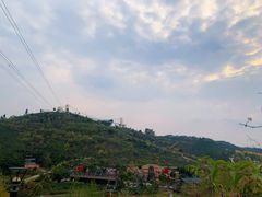 -田园寨农园观光园