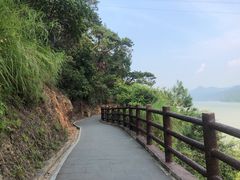-羚羊峡古栈道森林公园