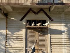 -玄武湖景区-情侣园游乐场