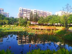 -光明港公园