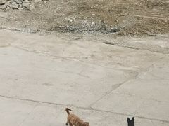 -云座·时光·观景咖啡厅(五爷庙店)