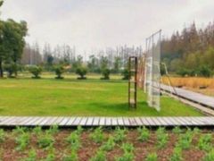 -前小桔亲子创意农场·草莓采摘·露营烧烤