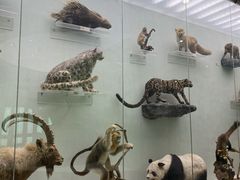 -国家自然博物馆