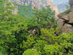 -崂山巨峰游览区