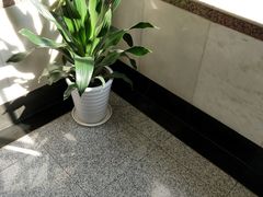 -上海置地广场(南京东路店)