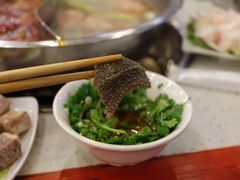 朱氏鲜毛肚-朱氏胖子烂火锅(洪崖洞店)