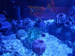 -沈阳海洋探索中心