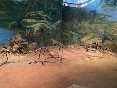 -自贡恐龙博物馆