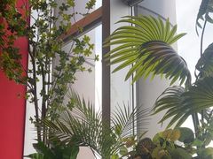 -金牌禄运·点心·啫煲(百信广场店)