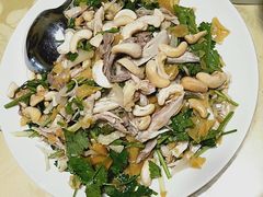 -八景休閒山莊  廣東十大名山莊