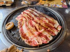 -安又胖韩国烤肉