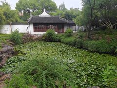-上海醉白池公园