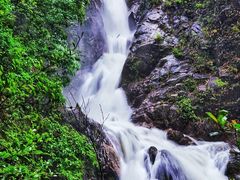 -九龙江国家森林公园