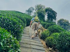 -午潮山国家森林公园