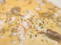 -川味堂·四川豆花(八卦岭店)