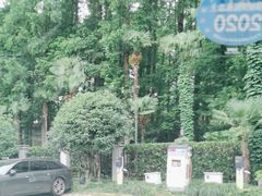 -上海虹桥迎宾馆