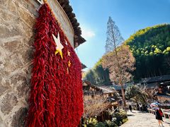 -楠溪江风景名胜区