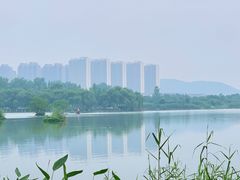 -洋湖国家湿地公园