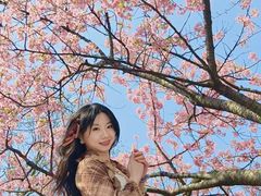 -上海植物园-4号门售票处