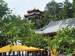 -宫事颐庭·老佛爷贵寿下午茶(颐和园店)