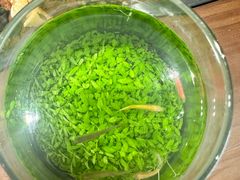 -厦门老字号·旷野茶叶(茶厂直营中山路店)