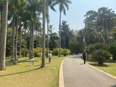 -中国科学院西双版纳热带植物园