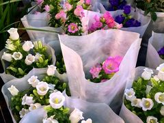 -双季花艺园艺市场(浦东店)